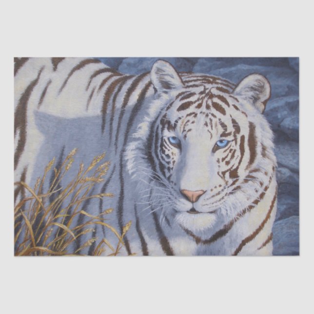 Papel De Seda Hermoso tigre blanco con ojos azul cristal (Anverso)