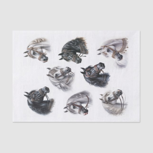 Papel De Seda Hermosos caballos árabes con brillantes velas (Anverso)