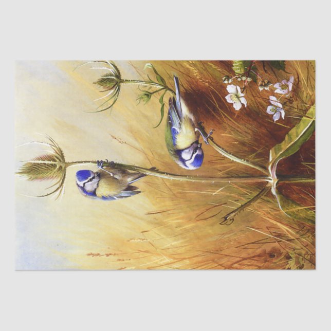 Papel De Seda Hermosos pájaros azules en una cuatricromía marrón (Anverso)