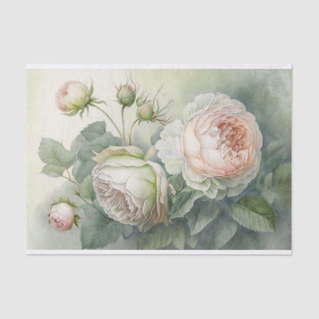 Papel De Seda Hermosos Rosas de col rosados (Anverso)