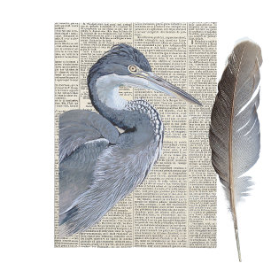 Papel De Seda Heron Bird Periódico francés Vintage Decoupage