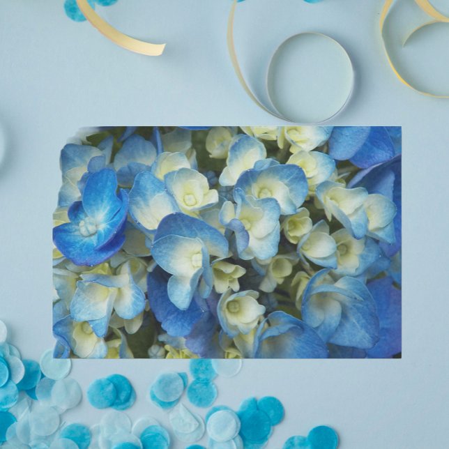 Papel De Seda Hidrangea Azul bonito Floral (In Situ)