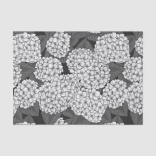 Papel De Seda Hidrangea blanca