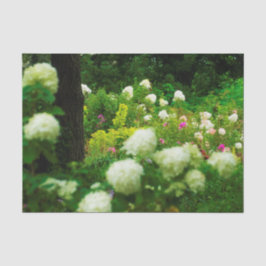 Papel De Seda Hidrangeas livianas en mi jardín de Rubio