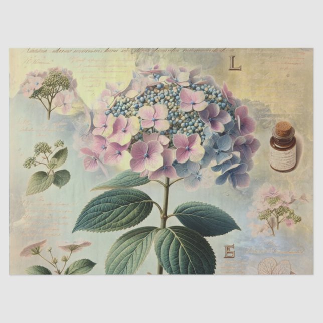 Papel De Seda Hidrangia (Anverso)