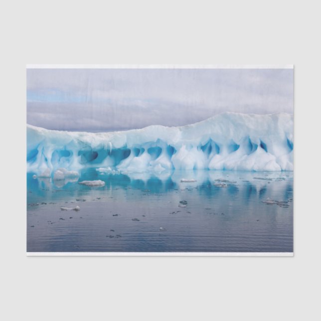 Papel De Seda Hielo en la Antártida (Anverso)