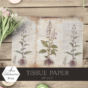 Papel De Seda Hierbas Botánicas Antiguas Decoupage