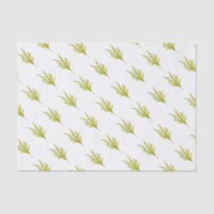 Papel De Seda Hierbas de tomillo Plantas Botánicas Acuarela Verd