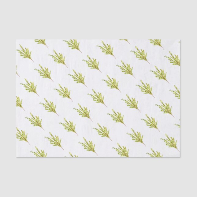 Papel De Seda Hierbas de tomillo Plantas Botánicas Acuarela Verd (Anverso)