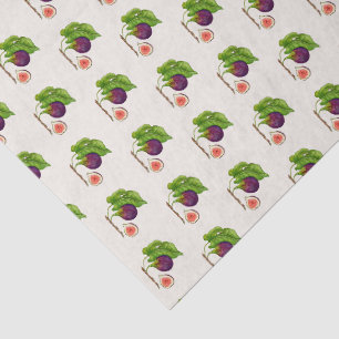 Papel De Seda Higos estilo vintage en acuarela sobre ecru