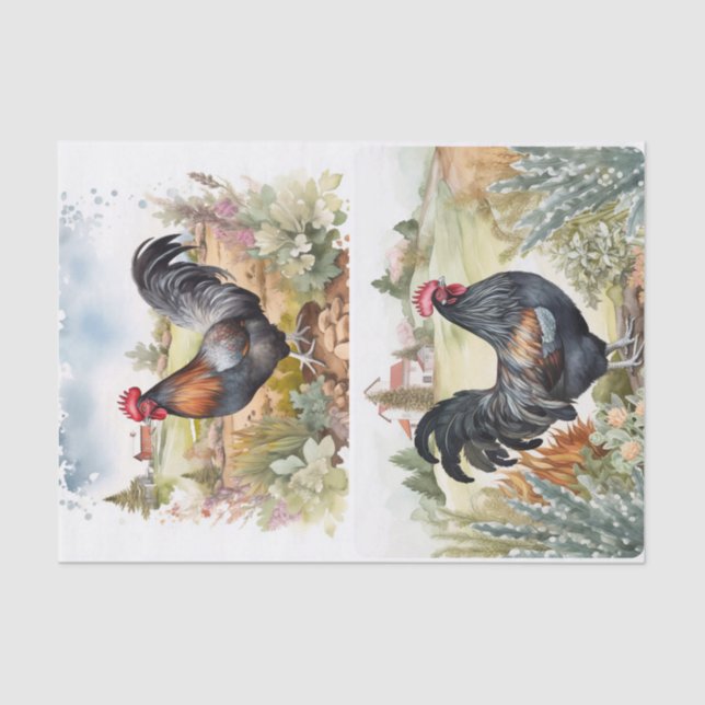 Papel De Seda Hillside Roosters (Anverso)