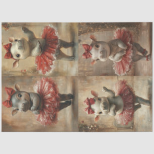 Papel De Seda Hipótamos caprichosos vestidos en Tutu