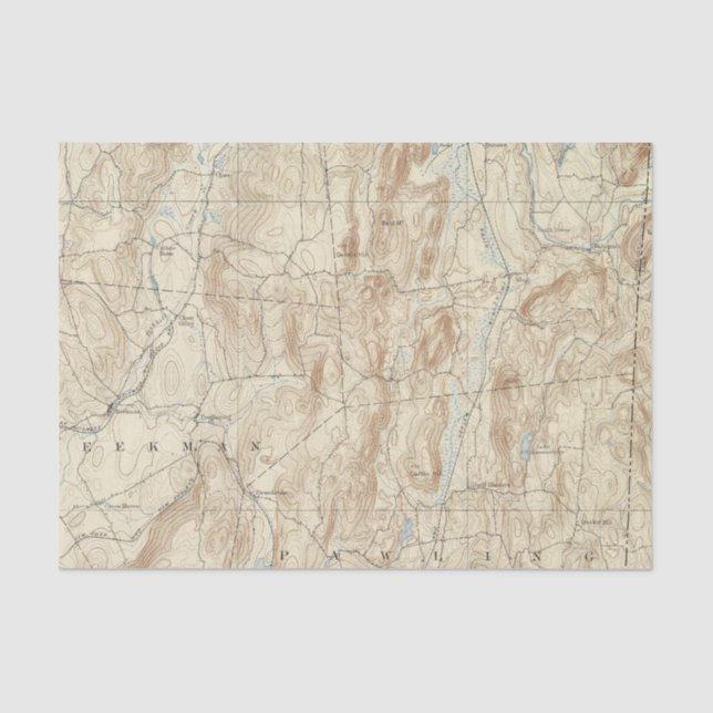 Papel De Seda Hoja de 15 clavos (Anverso)