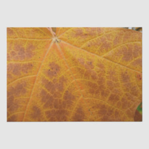 Papel De Seda Hoja de arce amarilla otoño Resumen Naturaleza