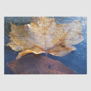 Papel De Seda Hoja de Arce Amarillo Congelada Otoño Naturaleza