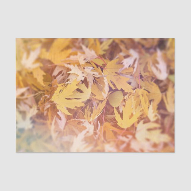 Papel De Seda Hoja de Arce Amarillo de Otoño (Anverso)