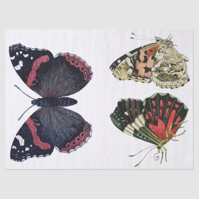 Papel De Seda Hoja de Decoupage de los elementos de la mariposa (Anverso)