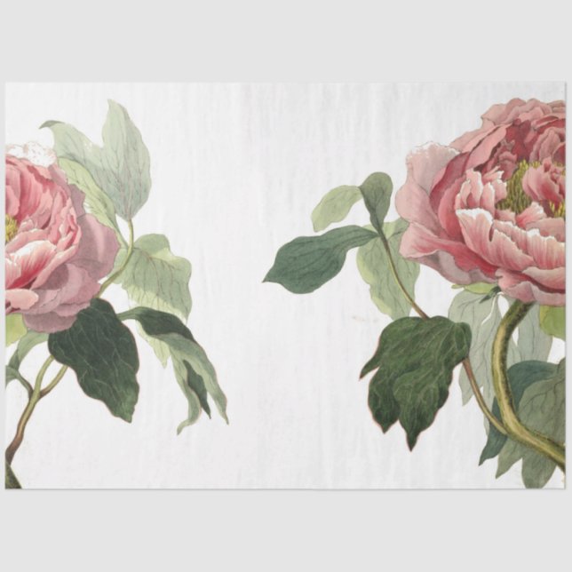 Papel De Seda Hoja de elementos de diario no deseado rosa (Anverso)