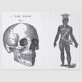 Papel De Seda Hoja de los elementos de la anatomía del diario de