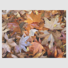 Papel De Seda Hoja de Otoño