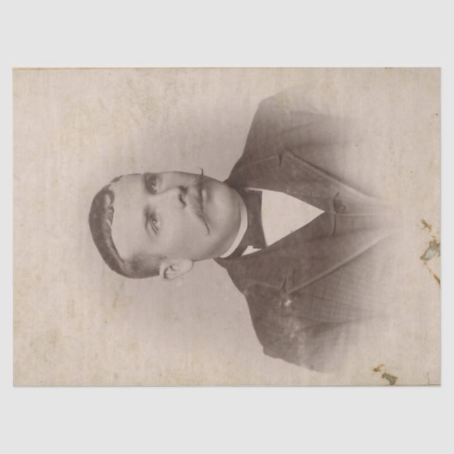 Papel De Seda Hoja del elemento del diario de los desperdicios (Anverso)