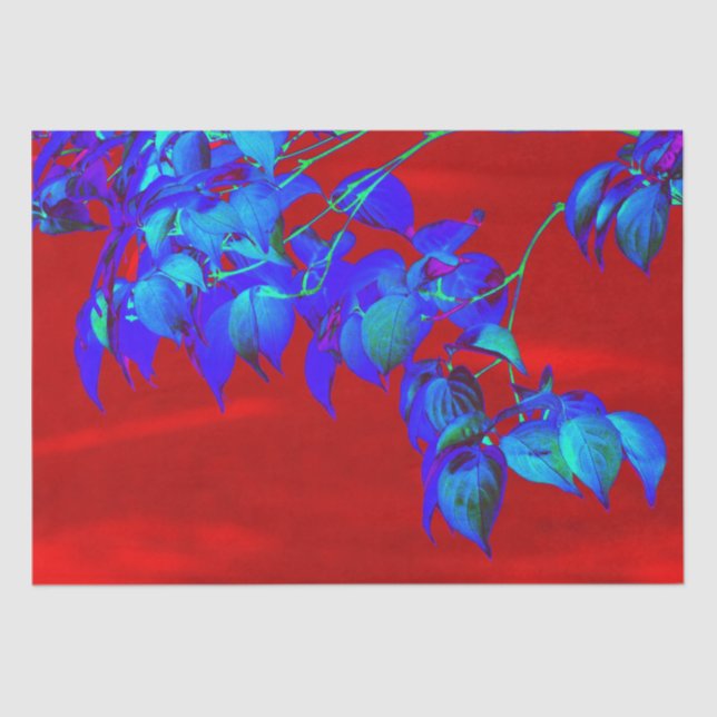 Papel De Seda Hojas azules del cielo rojo (Anverso)