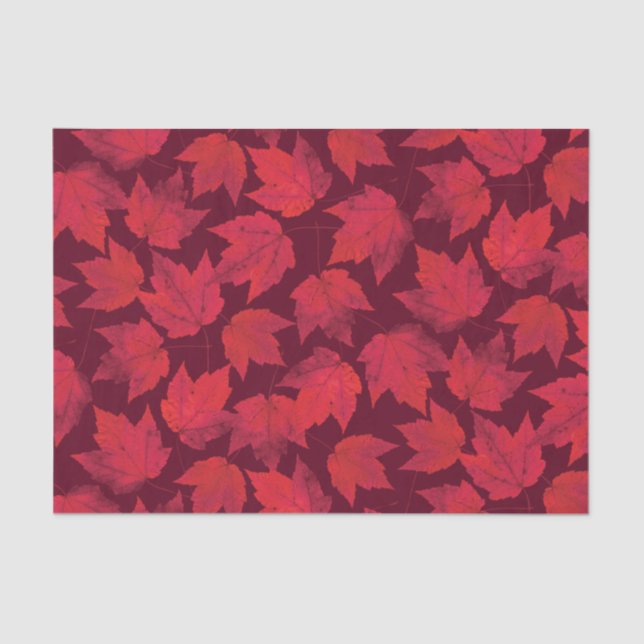 Papel De Seda Hojas de arce del rojo del otoño (Anverso)