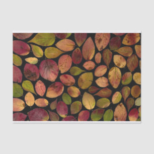 Papel De Seda Hojas de Arce Elegantes Patrón de Otoño