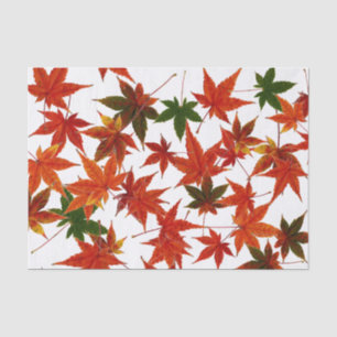 Papel De Seda Hojas de arce japonesas