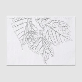 Papel De Seda Hojas de Basswood