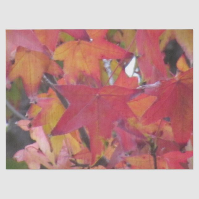 Papel de seda - Hojas de otoño (Anverso)