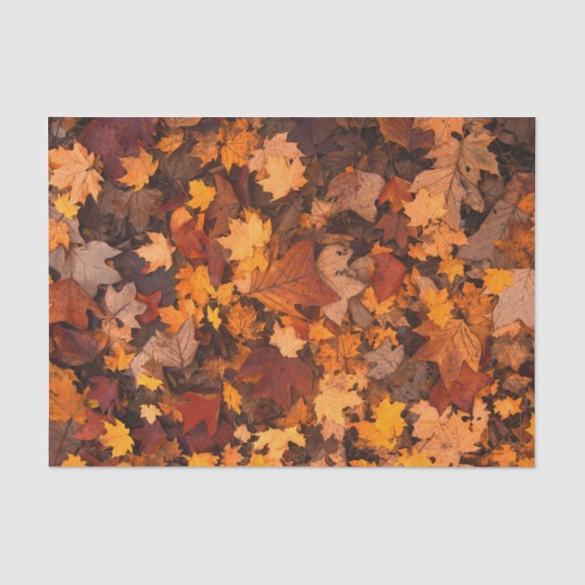 Papel De Seda Hojas de otoño (Anverso)