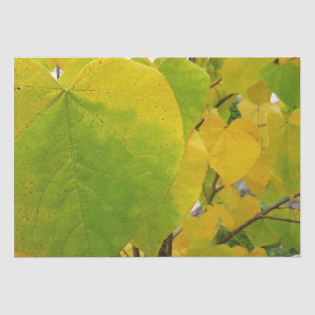 Papel De Seda Hojas de Redbud amarillas y verdes (Anverso)