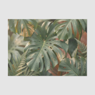 Papel De Seda Hojas Lujuriosas de Monstera Helechos Selva Tropic