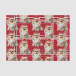 Papel De Seda Holiday Pomeranian Dog Red Plaid Christmas