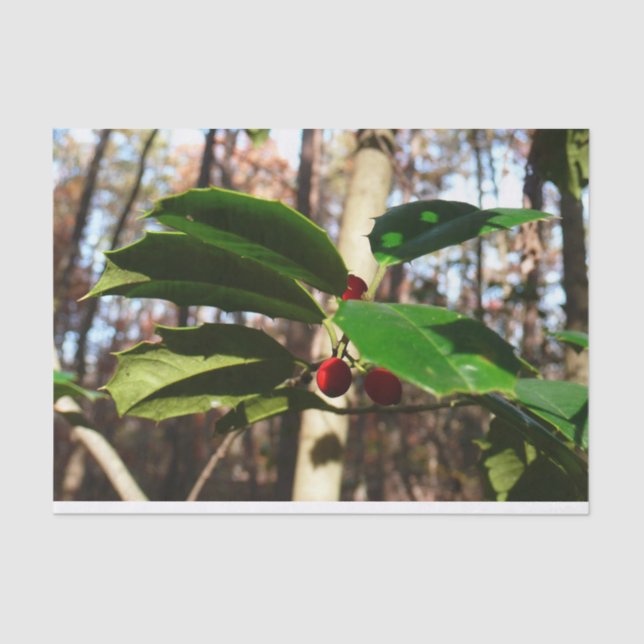 Papel De Seda Holly Leaves I Holiday Botanical (Anverso)