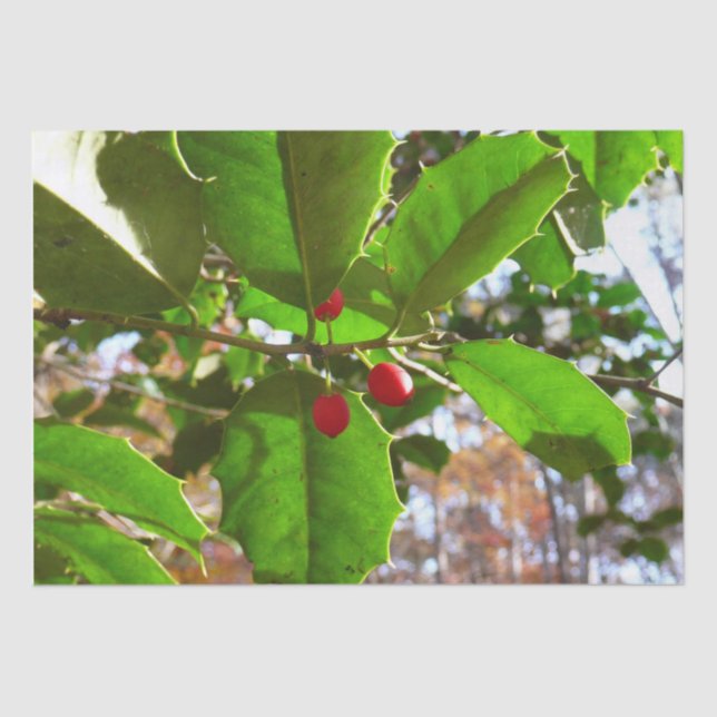 Papel De Seda Holly Leaves II Naturaleza de las vacaciones Botán (Anverso)