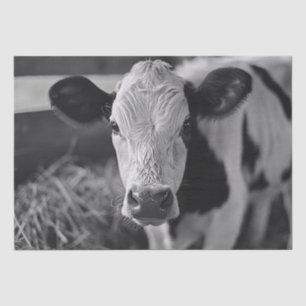 Papel De Seda Holstein Cow Black and White Decoupage
