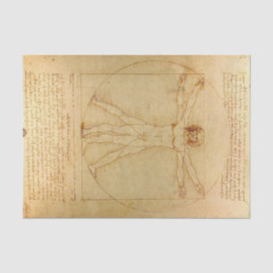 Papel De Seda Hombre de Vitruvio de Leonardo Da Vinci