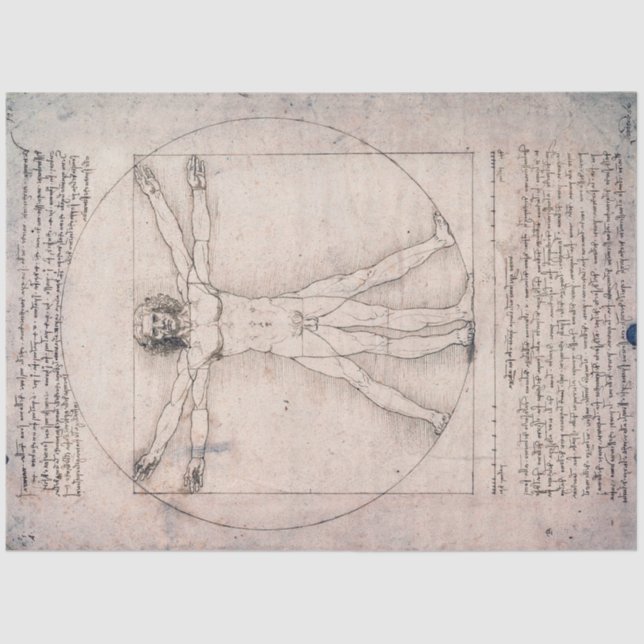 Papel De Seda Hombre vitruviano, hombre vitruviano, Leonardo da  (Anverso)