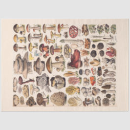 Papel De Seda Hongos Vintage Por Adolphe Millot