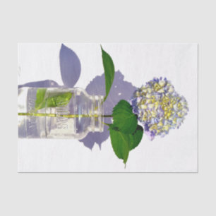 Papel De Seda hormigas de agua y frasco de masón