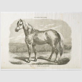 Papel De Seda Horse Ephemera Decoupage Vintage French