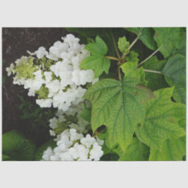 Papel De Seda Hortensia de hoja de roble