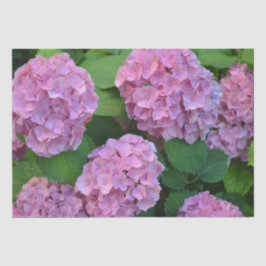 Papel De Seda Hortensia hidrangea bush rosa