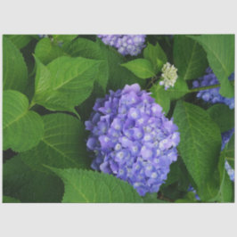 Papel De Seda Hortensia Lavanda