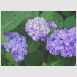 Papel De Seda Hortensia Lavanda