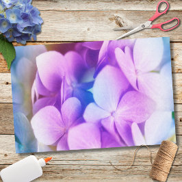 Papel De Seda Hortensia Morada Colorida