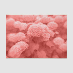 Papel De Seda Hortensias Coral Blanco Floral Elegante Vintage