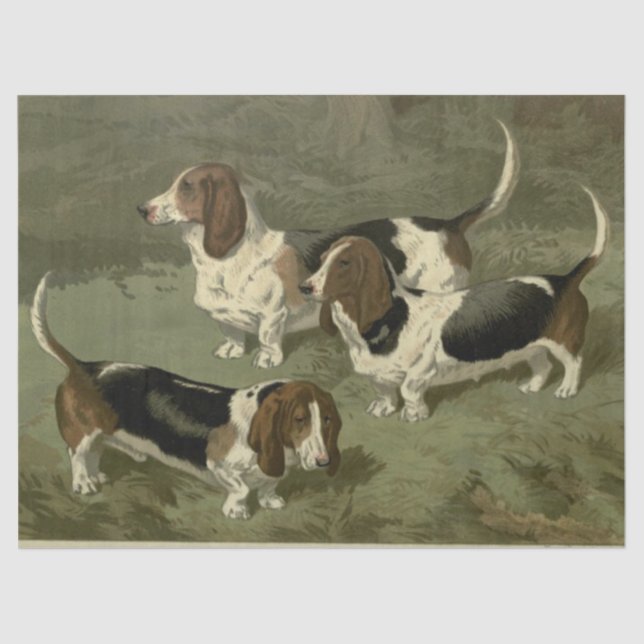 Papel De Seda Hounds Vintage Basset (Anverso)